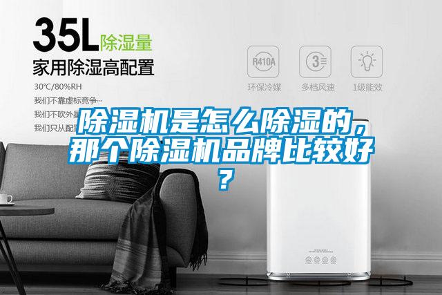 除濕機(jī)是怎么除濕的，那個(gè)除濕機(jī)品牌比較好？
