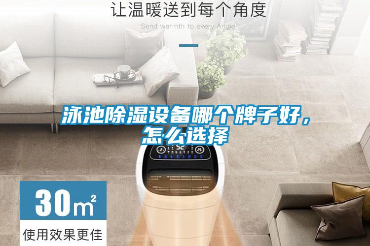 泳池除濕設(shè)備哪個(gè)牌子好，怎么選擇