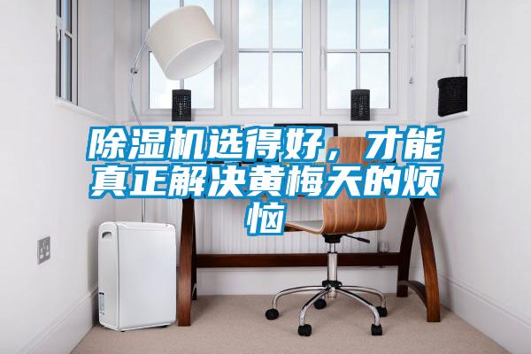 除濕機選得好，才能真正解決黃梅天的煩惱