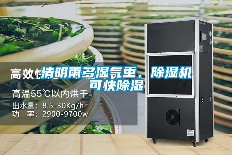 清明雨多濕氣重，除濕機可快除濕