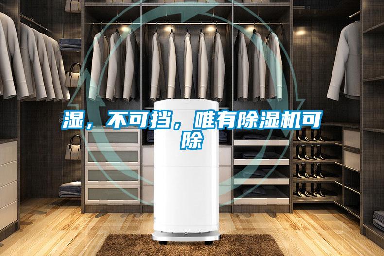 濕，不可擋，唯有除濕機(jī)可除