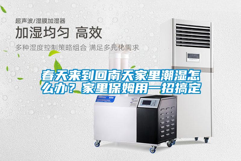 春天來到回南天家里潮濕怎么辦？家里保姆用一招搞定