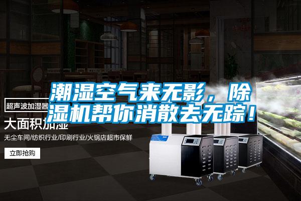 潮濕空氣來無影，除濕機幫你消散去無蹤！