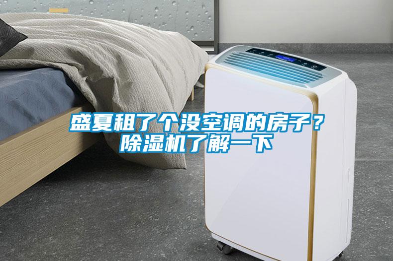 盛夏租了個沒空調(diào)的房子？除濕機了解一下