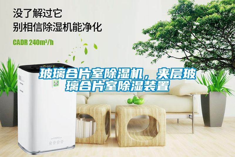 玻璃合片室除濕機(jī)，夾層玻璃合片室除濕裝置