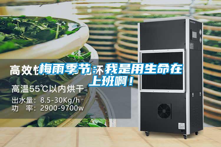 梅雨季節(jié)：我是用生命在上班?。?/></p>
						    <p style=