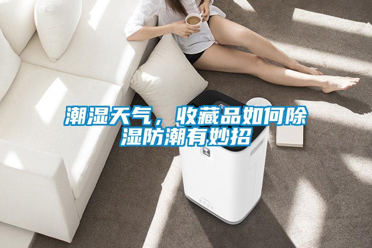 潮濕天氣，收藏品如何除濕防潮有妙招
