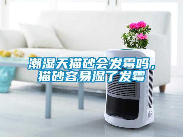 潮濕天貓砂會(huì)發(fā)霉嗎，貓砂容易濕了發(fā)霉