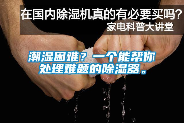 潮濕困難？一個(gè)能幫你處理難題的除濕器。