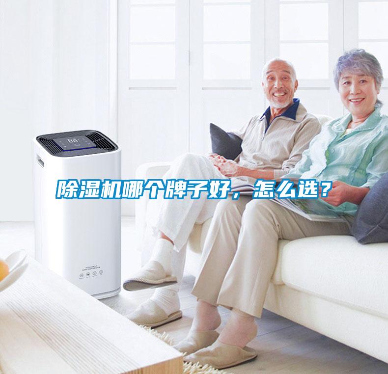 除濕機哪個牌子好，怎么選？