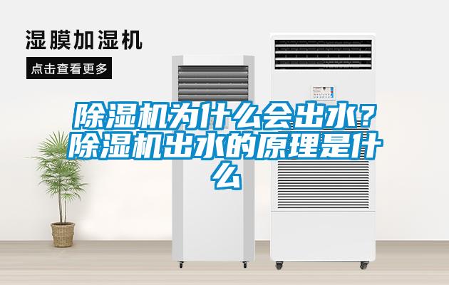 除濕機(jī)為什么會(huì)出水？除濕機(jī)出水的原理是什么