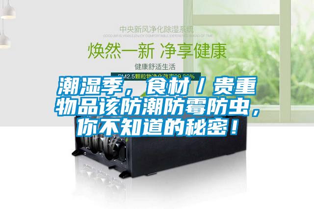 潮濕季，食材／貴重物品該防潮防霉防蟲，你不知道的秘密！