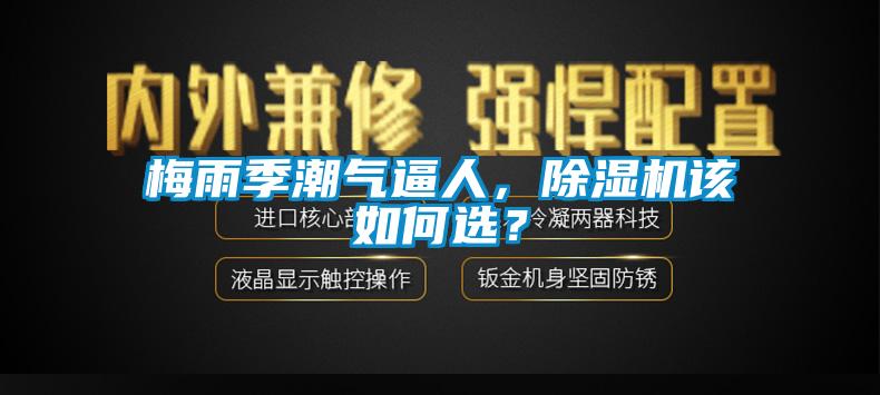 梅雨季潮氣逼人，除濕機(jī)該如何選？