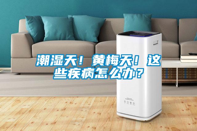 潮濕天！黃梅天！這些疾病怎么辦？