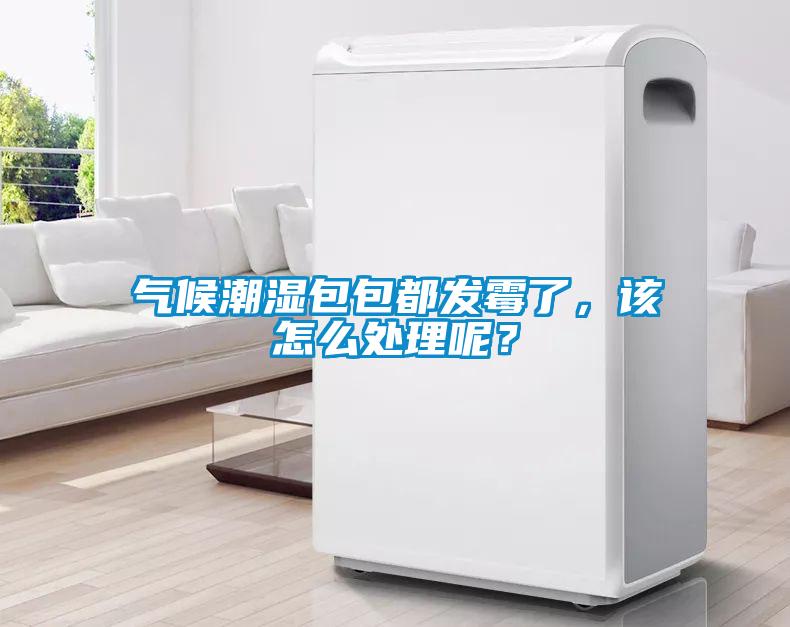 氣候潮濕包包都發(fā)霉了，該怎么處理呢？