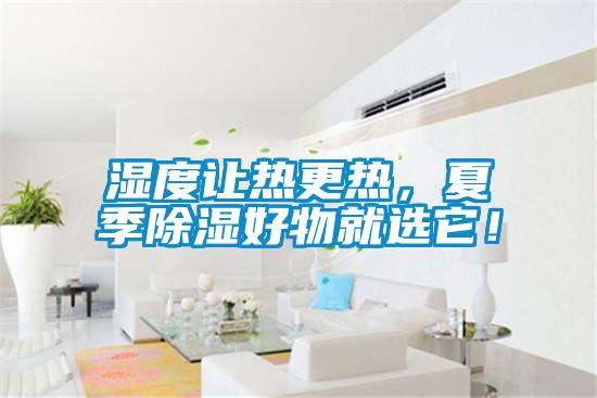 濕度讓熱更熱，夏季除濕好物就選它！