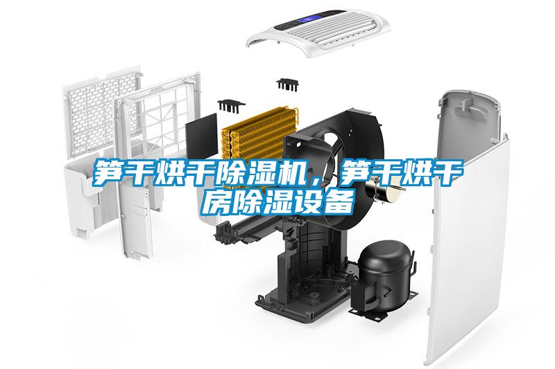 筍干烘干除濕機，筍干烘干房除濕設(shè)備