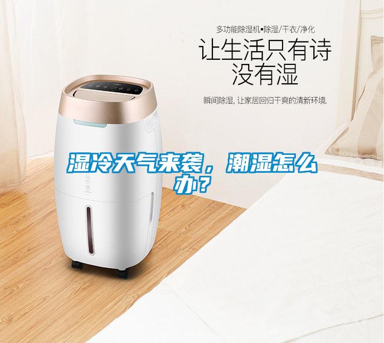 濕冷天氣來襲，潮濕怎么辦？