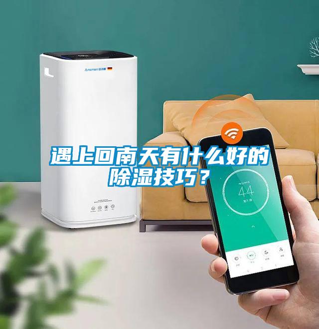 遇上回南天有什么好的除濕技巧？