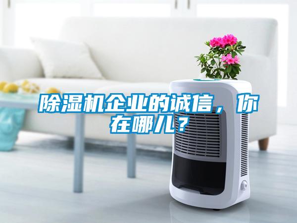除濕機企業(yè)的誠信，你在哪兒？