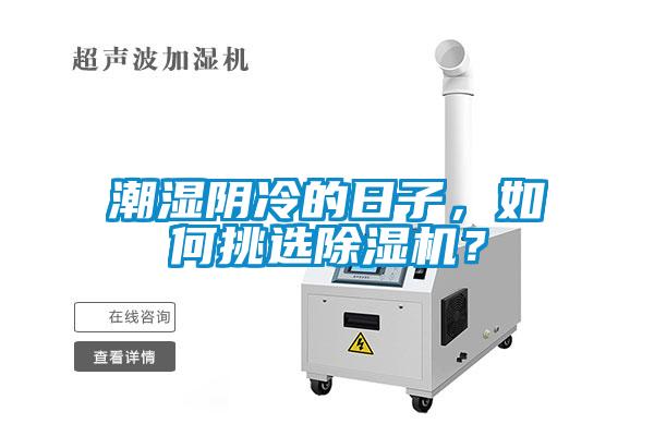 潮濕陰冷的日子，如何挑選除濕機？