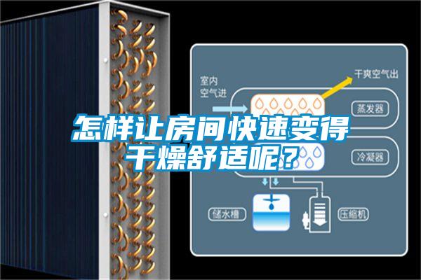 怎樣讓房間快速變得干燥舒適呢？