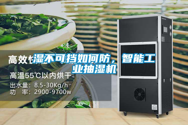 濕不可擋如何防，智能工業(yè)抽濕機(jī)