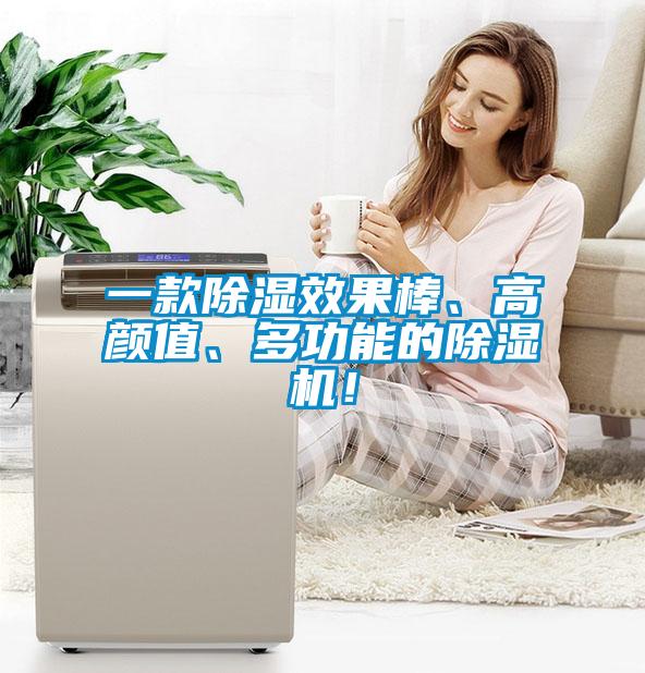一款除濕效果棒、高顏值、多功能的除濕機！