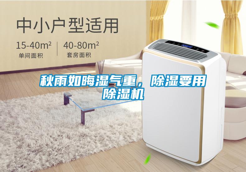 秋雨如晦濕氣重，除濕要用除濕機(jī)