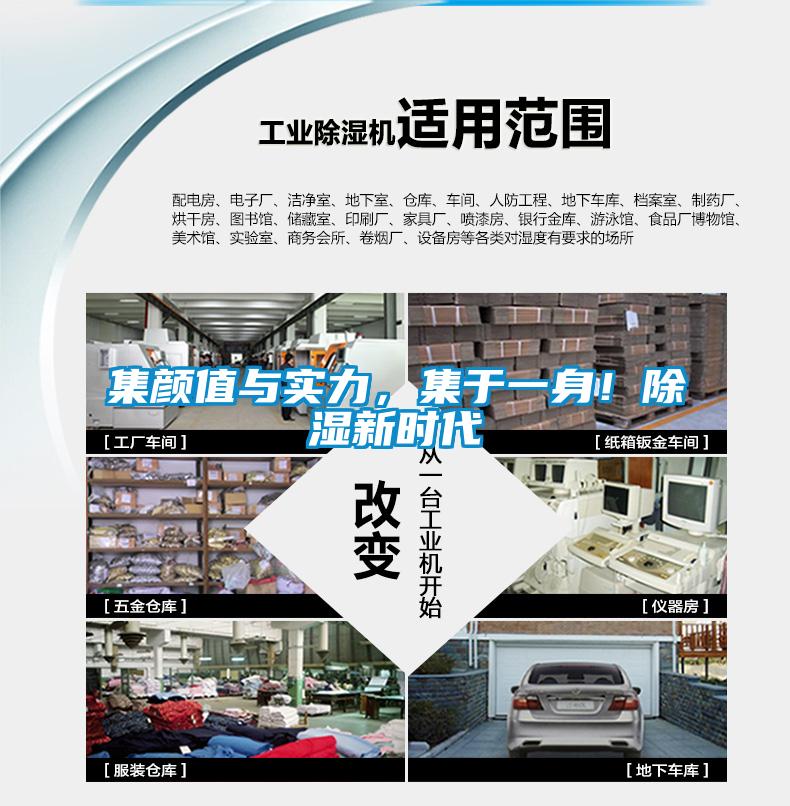 集顏值與實力，集于一身！除濕新時代