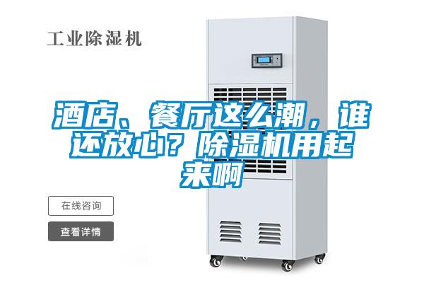酒店、餐廳這么潮，誰(shuí)還放心？除濕機(jī)用起來(lái)啊