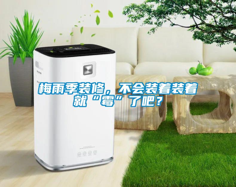 梅雨季裝修，不會(huì)裝著裝著就“霉”了吧？