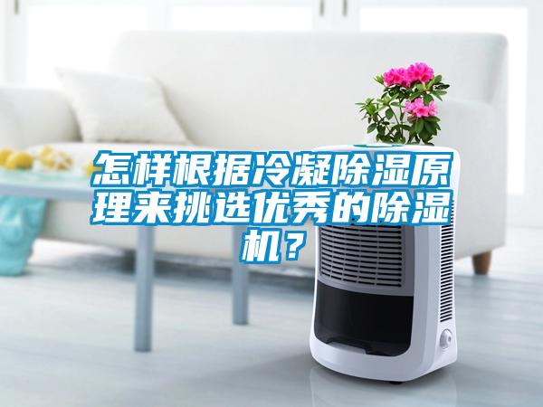 怎樣根據(jù)冷凝除濕原理來挑選優(yōu)秀的除濕機？
