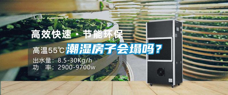 潮濕房子會塌嗎？