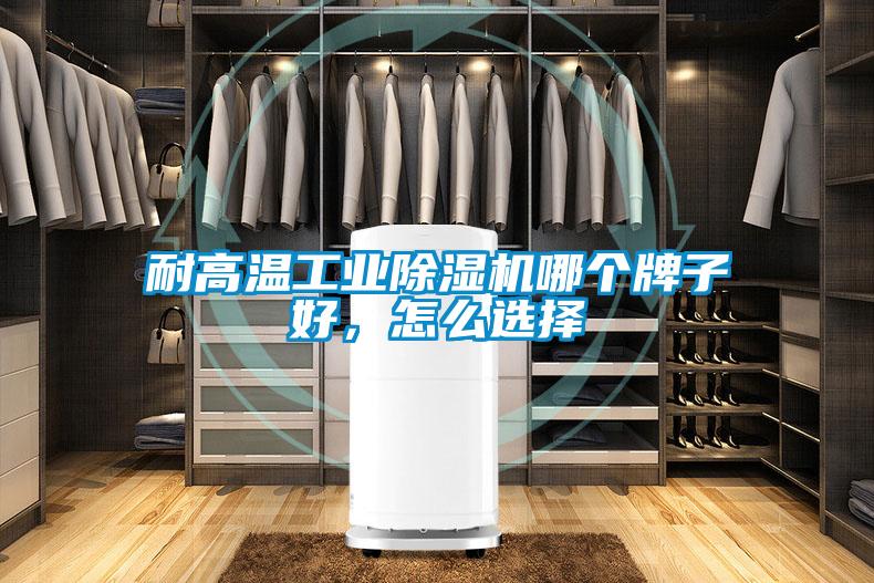 耐高溫工業(yè)除濕機(jī)哪個(gè)牌子好，怎么選擇