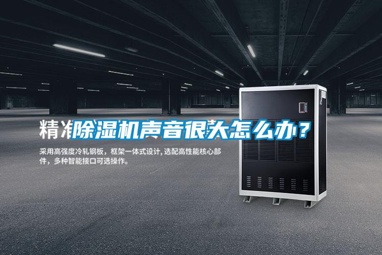 除濕機聲音很大怎么辦？