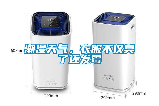 潮濕天氣，衣服不僅臭了還發(fā)霉