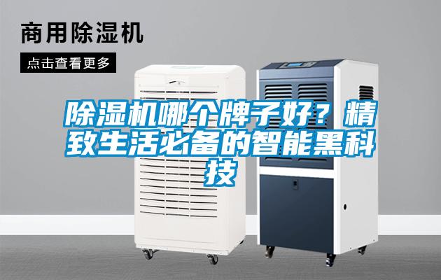 除濕機哪個牌子好？精致生活必備的智能黑科技