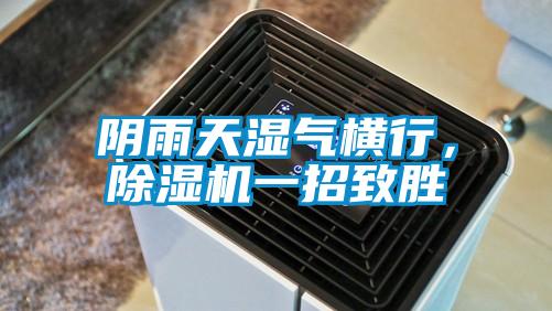 陰雨天濕氣橫行，除濕機(jī)一招致勝