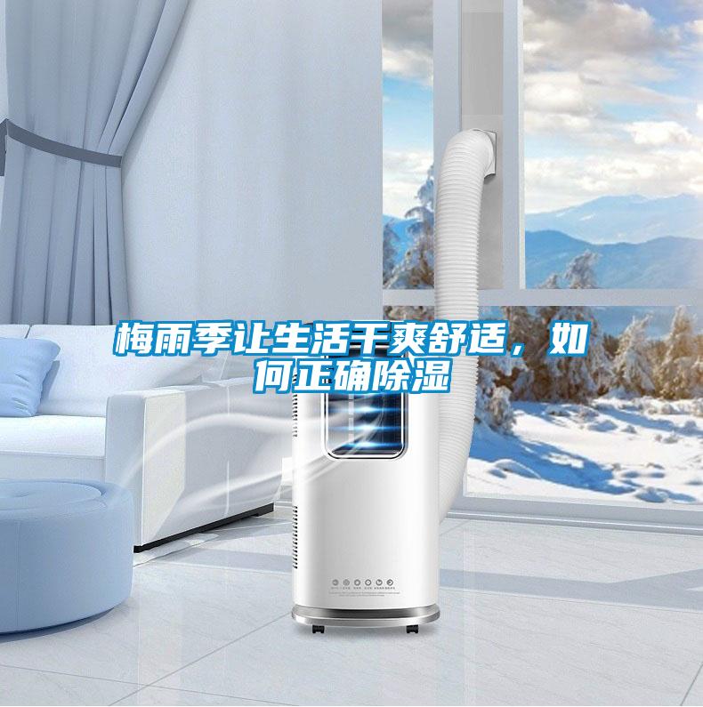 梅雨季讓生活干爽舒適，如何正確除濕