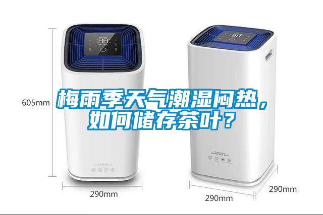 梅雨季天氣潮濕悶熱，如何儲存茶葉？