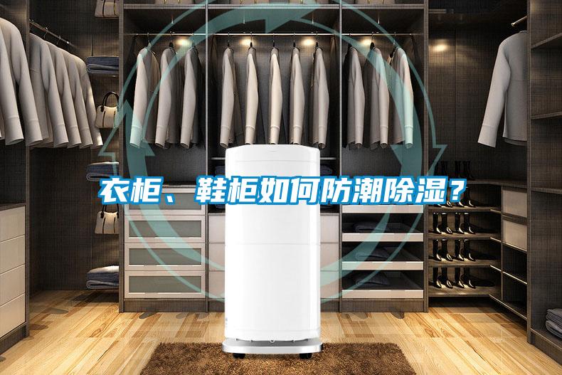 衣柜、鞋柜如何防潮除濕？