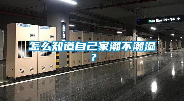 怎么知道自己家潮不潮濕？