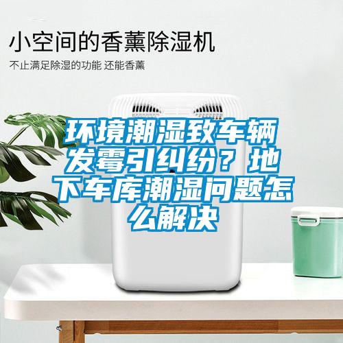 環(huán)境潮濕致車(chē)輛發(fā)霉引糾紛？地下車(chē)庫(kù)潮濕問(wèn)題怎么解決