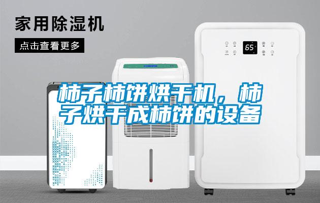 柿子柿餅烘干機(jī)，柿子烘干成柿餅的設(shè)備