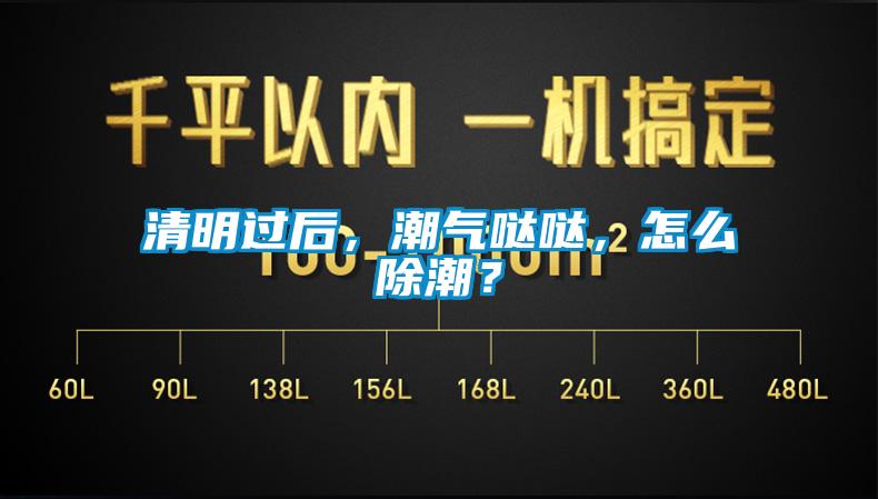 清明過后，潮氣噠噠，怎么除潮？