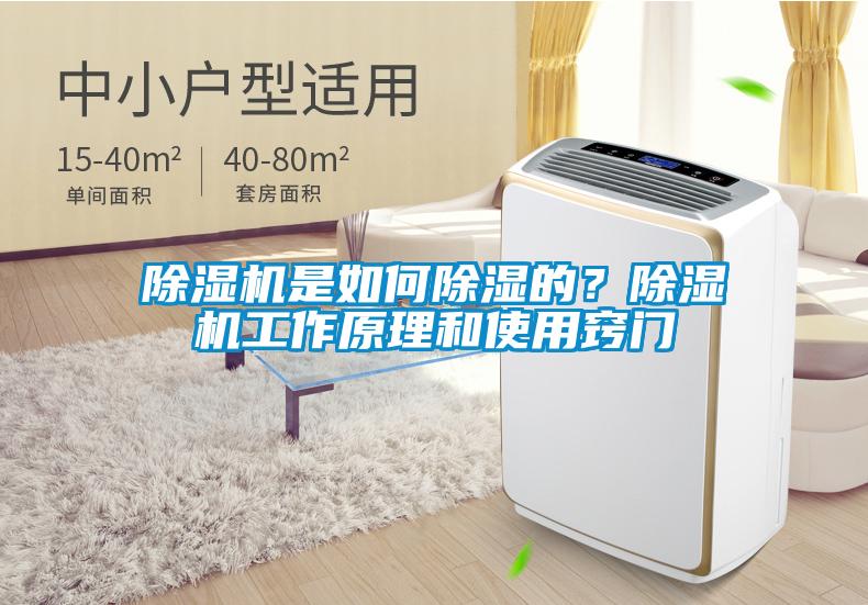除濕機(jī)是如何除濕的？除濕機(jī)工作原理和使用竅門