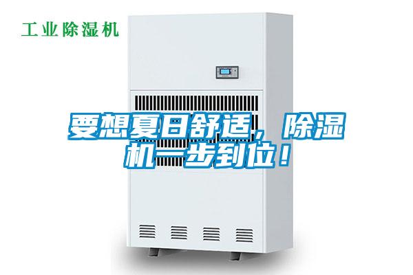 要想夏日舒適，除濕機(jī)一步到位！