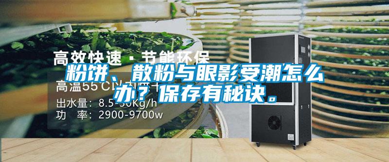 粉餅、散粉與眼影受潮怎么辦？保存有秘訣。
