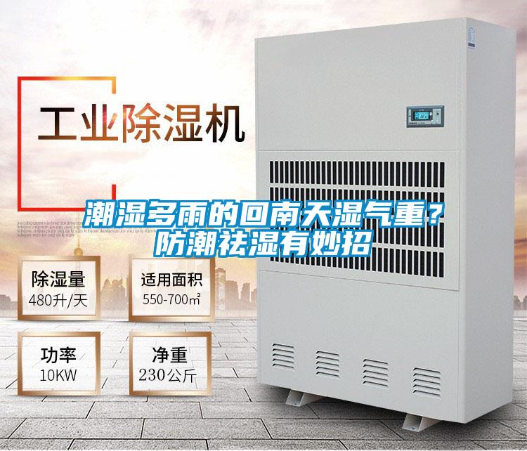 潮濕多雨的回南天濕氣重？防潮祛濕有妙招